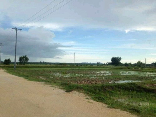 ដីលក់បន្ទាន់