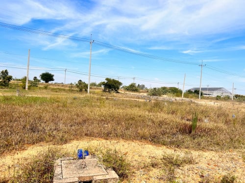 ដីឡូហ៍លើផ្លូវ60ម