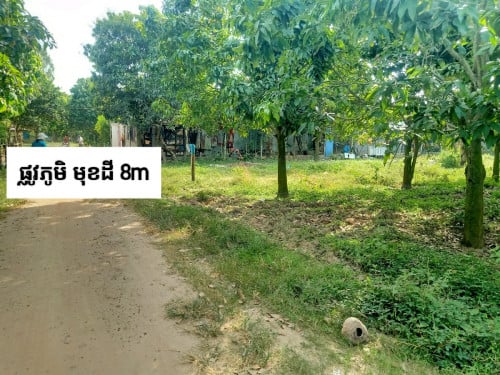 លក់ដីចំការ១កន្លែង នៅជិតវត្តសំរោងធំ និងជិតសាលារៀន