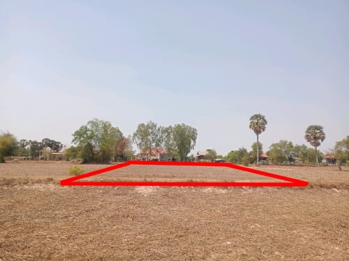 ដីលក់បន្ទាន់ តម្លៃក្រោមទីផ្សារ ក្រុងសៀមរាប