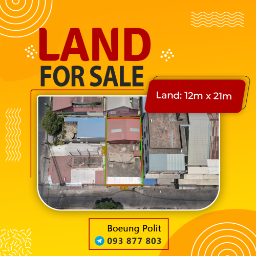 ដី និងឃ្លាំងលក់ ម្តុំផ្លូវភ្លោះអូរឫស្សី