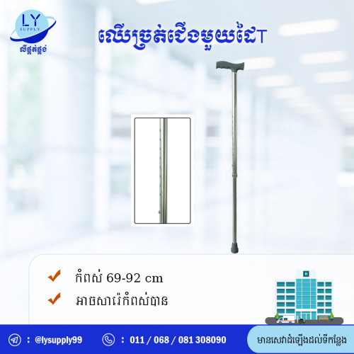 ឈើច្រត់ជើងមួយដៃT