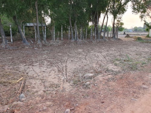 ដីលក់បន្ទាន់នៅសៀមរាបសង្កាត់ស្វាយដង្គំភូមិស្វាយព្រៃ