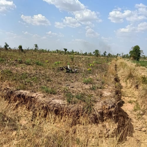 ដីលក់បន្ទាន់ នៅឃុំឃ្សឹម ស្រុកស្នួល ខេត្កក្រចេះ