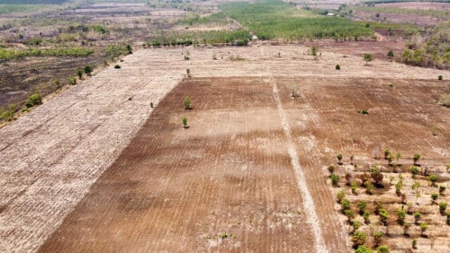 ដីលក់ ចំកាស្អាត