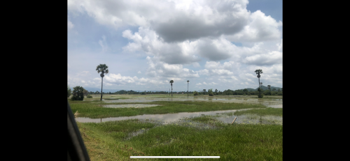 ដីប្លង់រឹង ជាប់ទំនប់ទឹកក្នុងក្រុង ជិតរង្វង់មូលសេះស