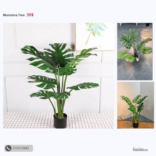 🪴ផ្កា និងដើមឈើជ័រ ស្អាតដូចធម្មជាតិ