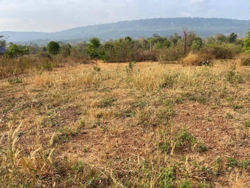 ដីលក់ជាប់ជេីងភ្នំគូលែនស្រុកបន្ទាយស្រីខេត្តសៀមរាប