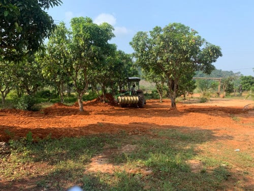 ដីលក់ ជិតទឹកជ្រោះ9ជាន់ ត្រជាក់ ទេសភាពស្អាត