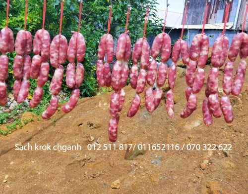 សាចក្រកជ្រូក និងសាចក្រកគោធម្មជាតិ