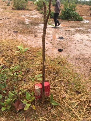 ដីទ្បូម្តុំផ្សារបាត់ដឹងលក់បួនទ្បូដីកែង តំលៃ 20,000$