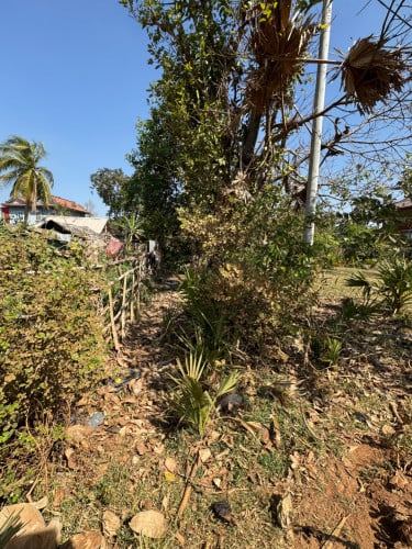 ដីភូមិសម្រាប់លក់(ម្ចាស់ផ្ទាល់)