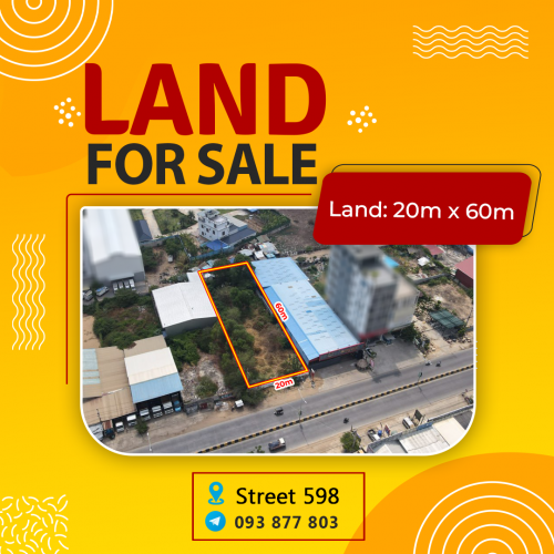 ដីលក់លើផ្លូវ598