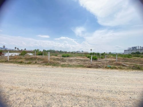 ដីឡូលក់បន្ទាន់