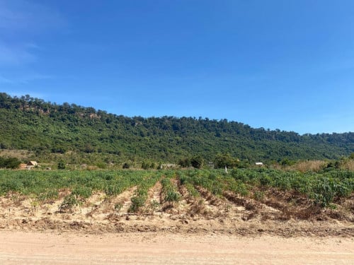 ដីលក់នៅត្បែងខាងលិចជាប់ជេីងនំគូលែនជិតក្រុមហ៊ុនទឹកសុទ្ធអូគូលែន