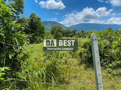 DABEST: Land For Sale In Kampot – International village