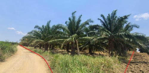 🏠 Agricultural Land for Urgent sale (Negotiable), ABA Loan Available.
