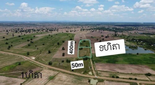 ដីស្រែ១ហិតា ជិតផ្លូវជាងលេខ៥៨ ធ្វើស្រែបាន២រដូវ