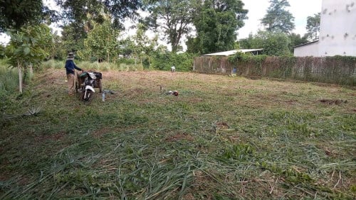 លក់ដីបន្ទាន់20m×42m