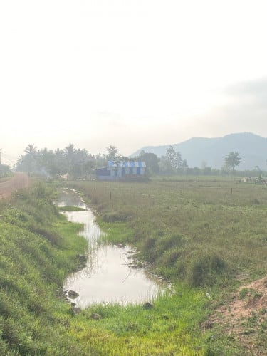 ដីភូមិលក់បន្ទាន់