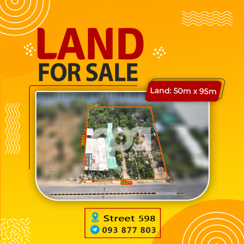 ដីលក់ លើផ្លូវ598