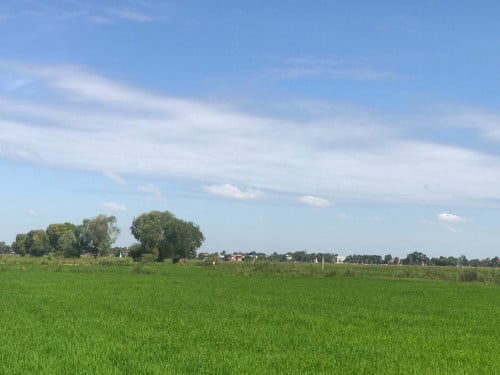 ដីលក់នៅខេត្តកំពង់ចាម ផ្លូវ61