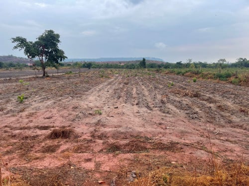 ដីលក់ប្រញ៉ាប់ នៅក្រុងរុនតាឯក 14400m2 ផ្លូវរដ្ឋ ៣០ម (1m2 = 5.5$ ចរចារ)