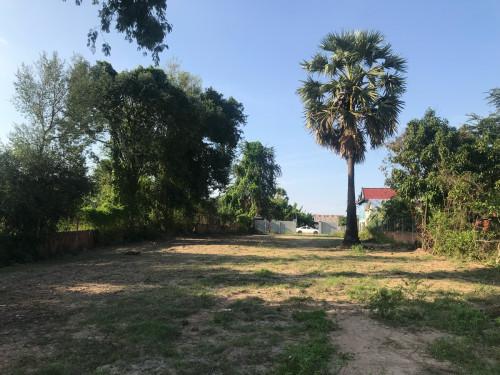 ដីលក់ Land for sale ដីស្អាតខេត្តមានសក្តានុពលខ្ពស់