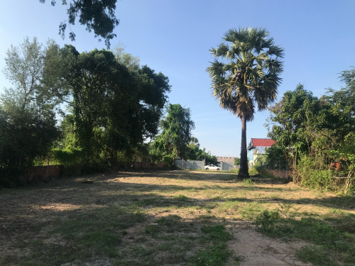 ដីលក់ Land for sale ដីស្អាតខេត្តមានសក្តានុពលខ្ពស់