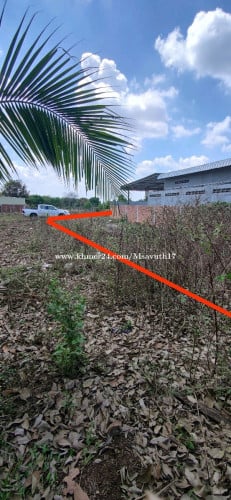 លក់ដី ឬ ដូជាមួយឡាន