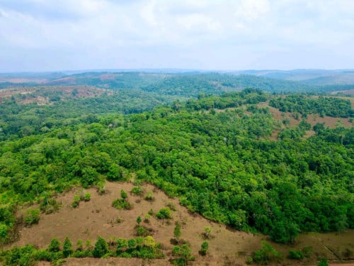 ដីលក់បន្ទាន់ខេត្តមណ្ឌលគិរី