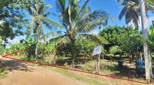 🏦Land for Urgent Sale (Negotiable), ABA Loan Available.