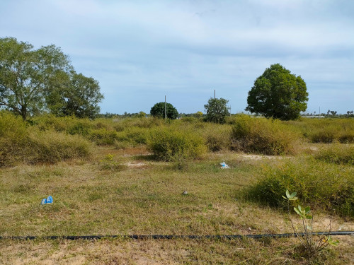 🏠Land Available for Urgent Sale at a Special Price (Negotiable).