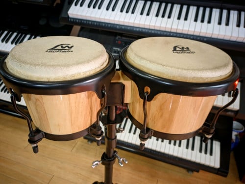 ស្គរភ្លោះតូច