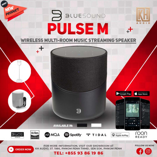 BLUESOUND PULSE M