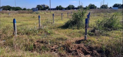 តម្លៃដីត្រឹមតែ $29900