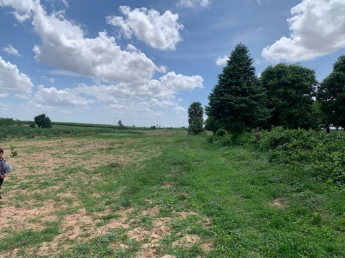 ដីចំការ១ហិតា4000$