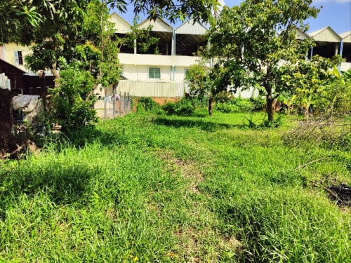 ដីសំរាប់លក់ម្ចាស់ផ្ទាល់ ប្លង់រឹង