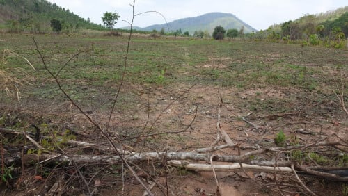 ដីចំការ ប្លង់រឹង ស្រុកឈូក ខេត្តកំពត