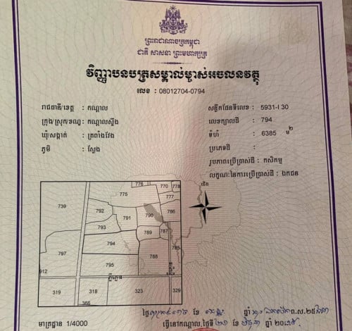 ដីលក់បន្ទាន់