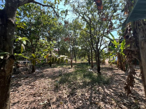 River Land for Sale in urgent