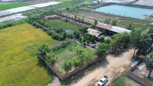 ដីលក់  (តំបន់កំពុងអភិវឌ្ឍន៍ ភូមិថ្មី ឃុំស្វាយអំពារ ស្រុកមុខកំពូល)