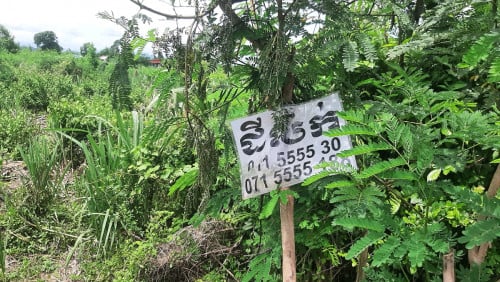 ដីចំការលក់