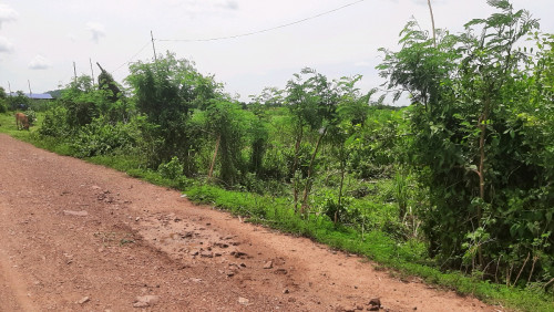 ដីចំការលក់
