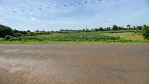 ដីលក់ទីតាំងល្អ ដីទំហំ33មគុណ100ម