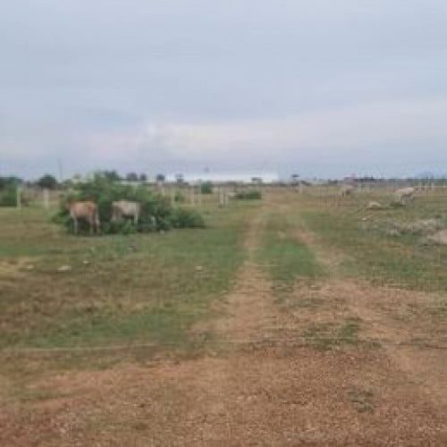 ដីលក់ ទំហំ 11 x 20