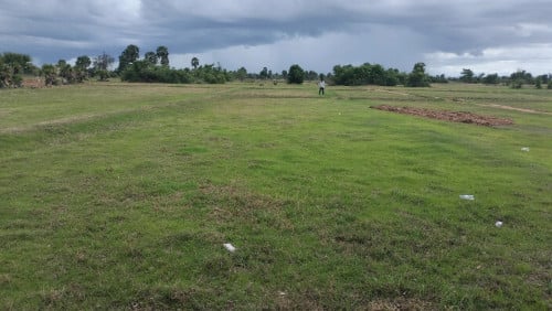 ដីលក់ក្បាល 130× 60ម៉ែត្រ