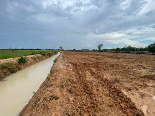 ដីសម្រាប់លក់ប្រភេទដីស្រែ ជាប់ប្រឡាយ មានផ្លូវប្រឡាយ