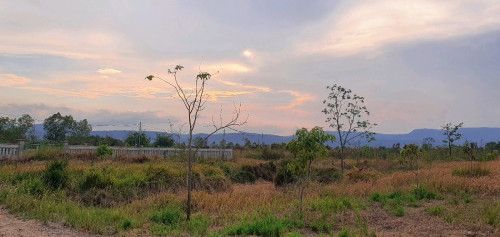 ដីលក់នៅជិតគីរីរម្យ