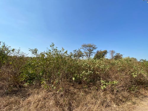 ម្ចាស់លក់ផ្ទាល់ ប្រញាប់លុយ តម្លៃអាចចរចារបាន ផ្លូវជាតិលេខ៧ធ្វើថ្មីរួចហើយ
